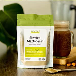 Banyan Botanicals Elevated Adaptogens turmeric swirl in a smoothie