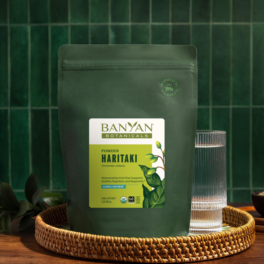 Measured Banyan Botanicals Haritaki powder with a spoon for accuracy.