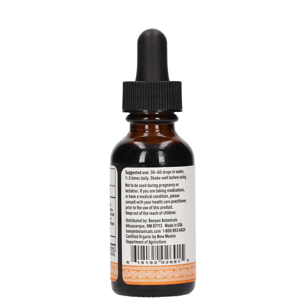 Hero shot of Banyan Botanicals Immune Strong in a lifestyle setting