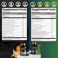 BBEEAAUU Shilajit capsules closeup emphasizing potency and daily intake