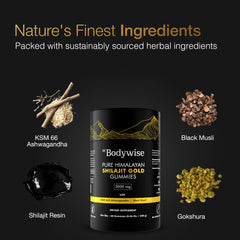 Be Bodywise Shilajit Gold Gummies lab certificate seal indicating safety and quality