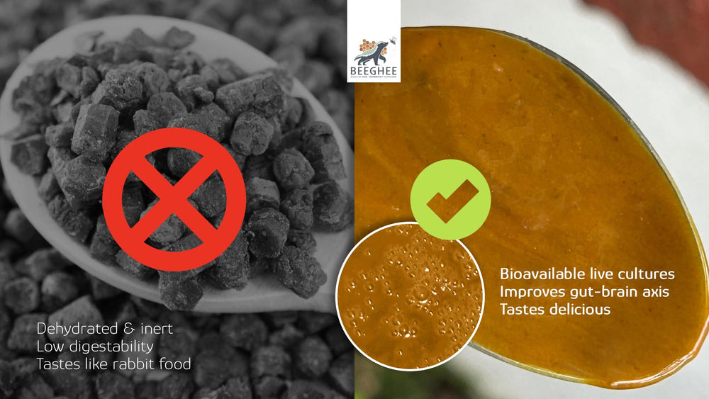 Beeghee Veracruz farm hive fermentation imagery emphasizes sustainable, high-quality sourcing.