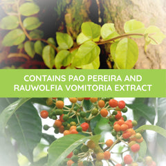 Pao Pereira extract detail in Prostabel ingredients for prostate support