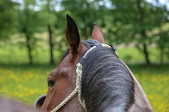 Close-up of Benefab fabric highlighting infrared-infused material and comfort benefits.