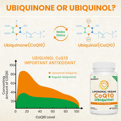 Besibest liposomal CoQ10 softgels neatly dispensed to illustrate simple intake.