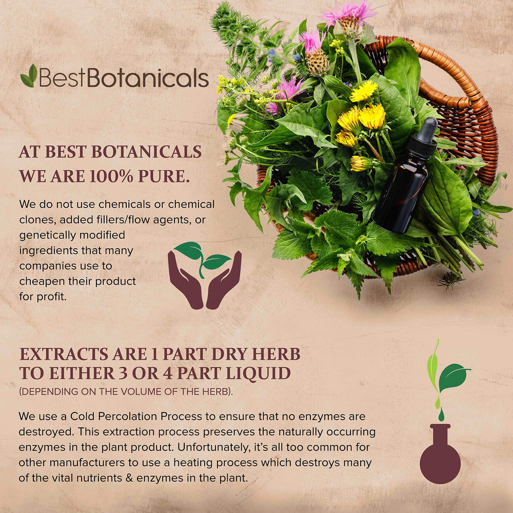 Best Botanicals Slippery Elm Bark Powder texture close-up for smooth mixing