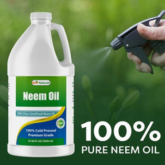 Best Naturals Neem Oil skin application — nourish skin with pure, cold-pressed oil.