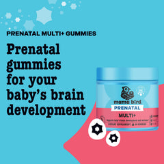 Best Nest Wellness Mama Bird prenatal ingredients label reveals B vitamins and folate