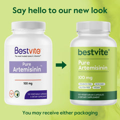 BESTVITE GMP-certified facility seal signals high-quality production standards.