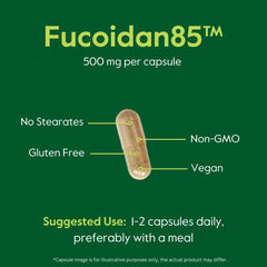 BESTVITE Fucoidan from brown algae ingredients emphasizes natural origin.