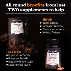 Better Alt Irish Sea Moss Capsules bottle view emphasizing mineral-rich capsules for daily wellness.