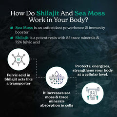 Better Alt Shilajit Sea Moss capsules bottle back with ingredients and usage