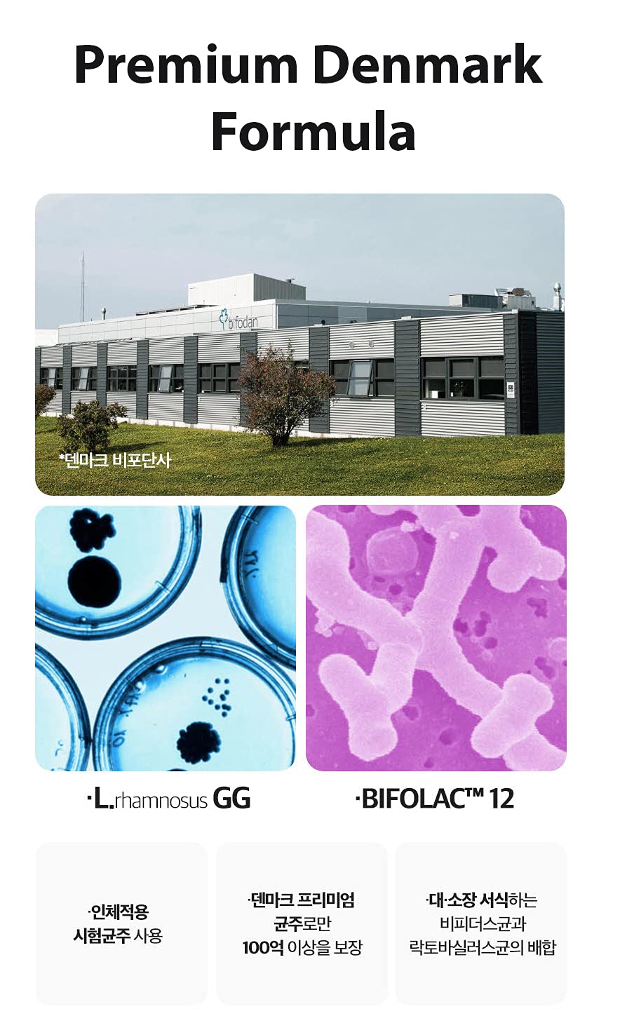 Bifolacto 100 synbiotics blend focus on prebiotic synergy