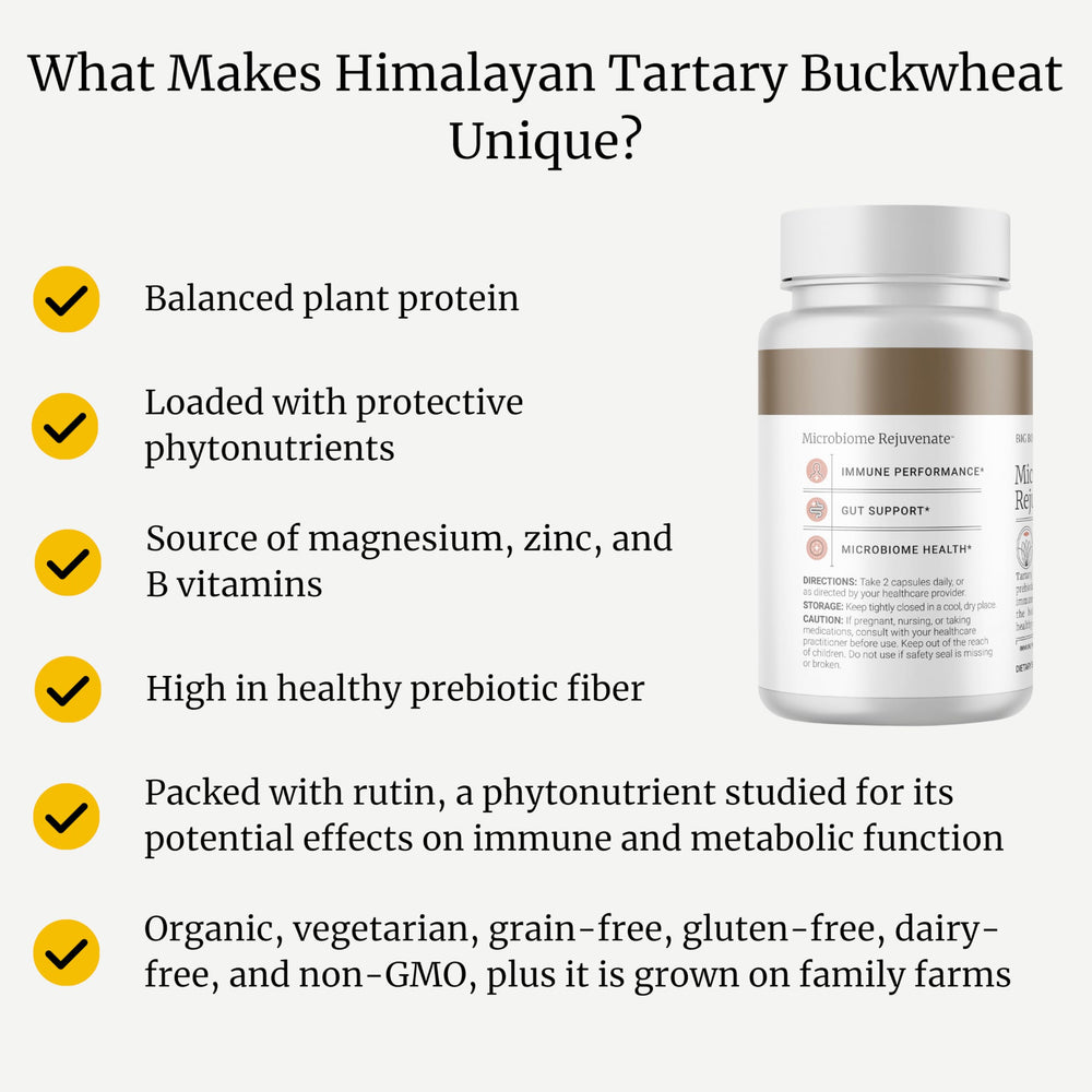 BIG BOLD HEALTH Microbiome Rejuvenate hero image suggests immune system support and daily wellness.