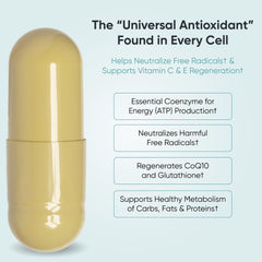 Big Valley Labs vegan capsules in clear packaging for plant-based nutrition.