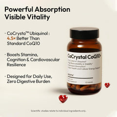 BIGVITA PQQ-SOD-BioPerine blend visuals suggest antioxidant-energy support