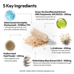 BIGVITA Slim+ psyllium husk powder visual for gut health and satiety