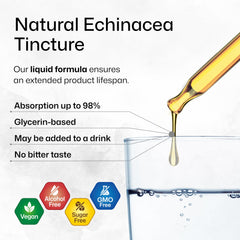 BIO KRAUTER Echinacea tincture bottle showing vegan, alcohol-free formula for daily health support.