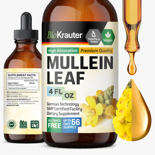 BIO KRAUTER Mullein Drops bottle for easy daily lung support.