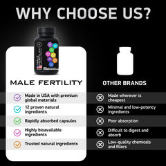 BIOACTIVE LABS ashwagandha capsule promotes calm focus and balance.