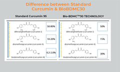 BIOBDMC Pro NovoCurcumin benefits graphic highlighting antioxidant potential