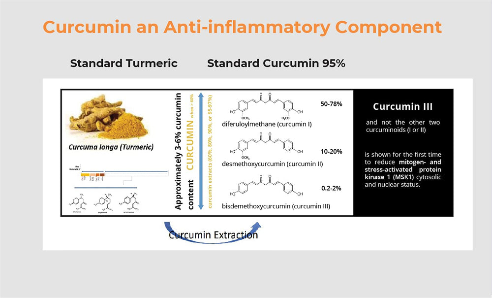 BIOBDMC Pro NovoCurcumin packaging box emphasizing quality