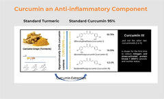 BIOBDMC Pro NovoCurcumin packaging box emphasizing quality