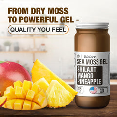 Biolore sea moss gel shown ready to blend into smoothies and teas.