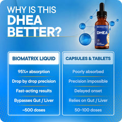 BioMatrix DHEA micronized-dhea bottle close-up conveys uniform potency.