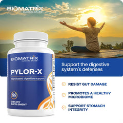 BioMatrix Pylor-X berberine ingredient close-up for microbiome balance