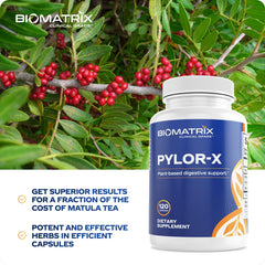 BioMatrix Pylor-X zinc carnosine photo illustrating gastric lining protection