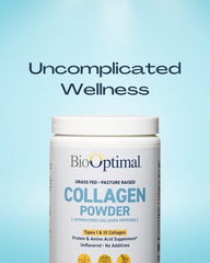 BioOptimal collagen peptides powder packaging closeup for easy daily supplementation
