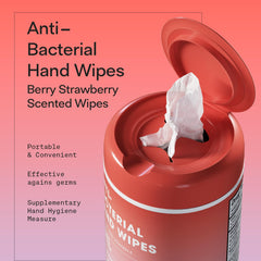BIOPURE wipes sized 5-by-7 inches for convenient hand cleaning.