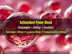 Biotest P-Well graphic illustrating urinary flow support potential
