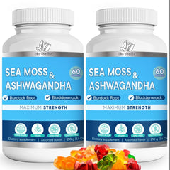 Bio Vitalica Sea Moss Ashwagandha Gummies bottle showcasing convenient daily energy support