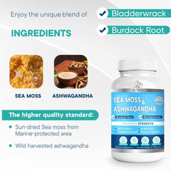 Bio Vitalica ingredients panel featuring sea moss and ashwagandha for daily wellness nutrients