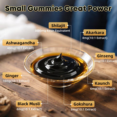 BIYODE 3,000mg Shilajit resin highlights nutrient-rich daily routine