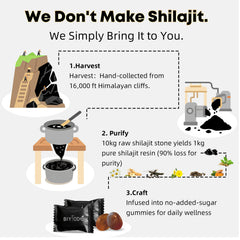 BIYODE Shilajit Gummies travel-friendly individually wrapped packaging on the go