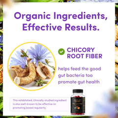Black Girl Vitamins Fiber Gummies mixed berry flavor close-up emphasizing convenient daily use