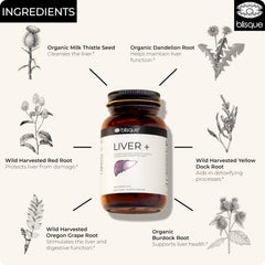 Blisque LIVER + dandelion root demonstrates traditional botanicals supporting digestion