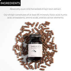 Blisque Shilajit resin capsules pack on wooden table shows authentic sourcing.