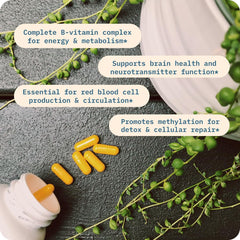 BodyBio B Plus supplement facts emphasize purity and absence of artificial additives