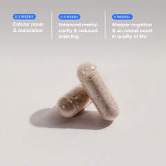 BodyBio Calm packaging in natural light conveying calm, balanced energy