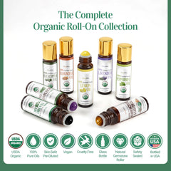BodyJ4You luxury gift box offers ready-to-gift presentation.