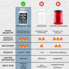 Hands holding BOIC capsules for easy-to-swallow training days.