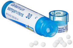 Closeup of Boiron Gelsemium 30C pellets on lid
