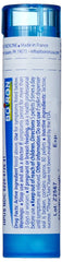 Boiron Spongia Tosta 30C packaging box shown for easy at home use.
