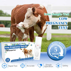 Bovine Pregnancy Test Kit test strip close-up showing rapid results indicator.