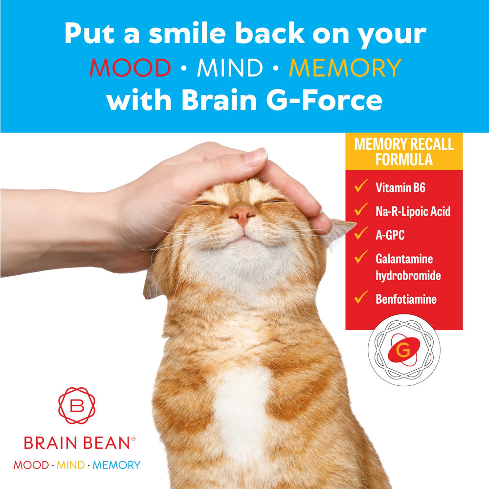 Brain Bean Brain G-Force study desk scene suggests enhanced focus during work.