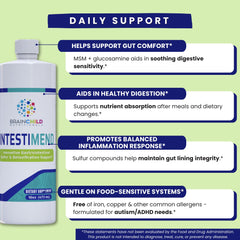 BrainChild Nutritionals IntestiMend ingredients panel highlights glucosamine and MSM for gut support.